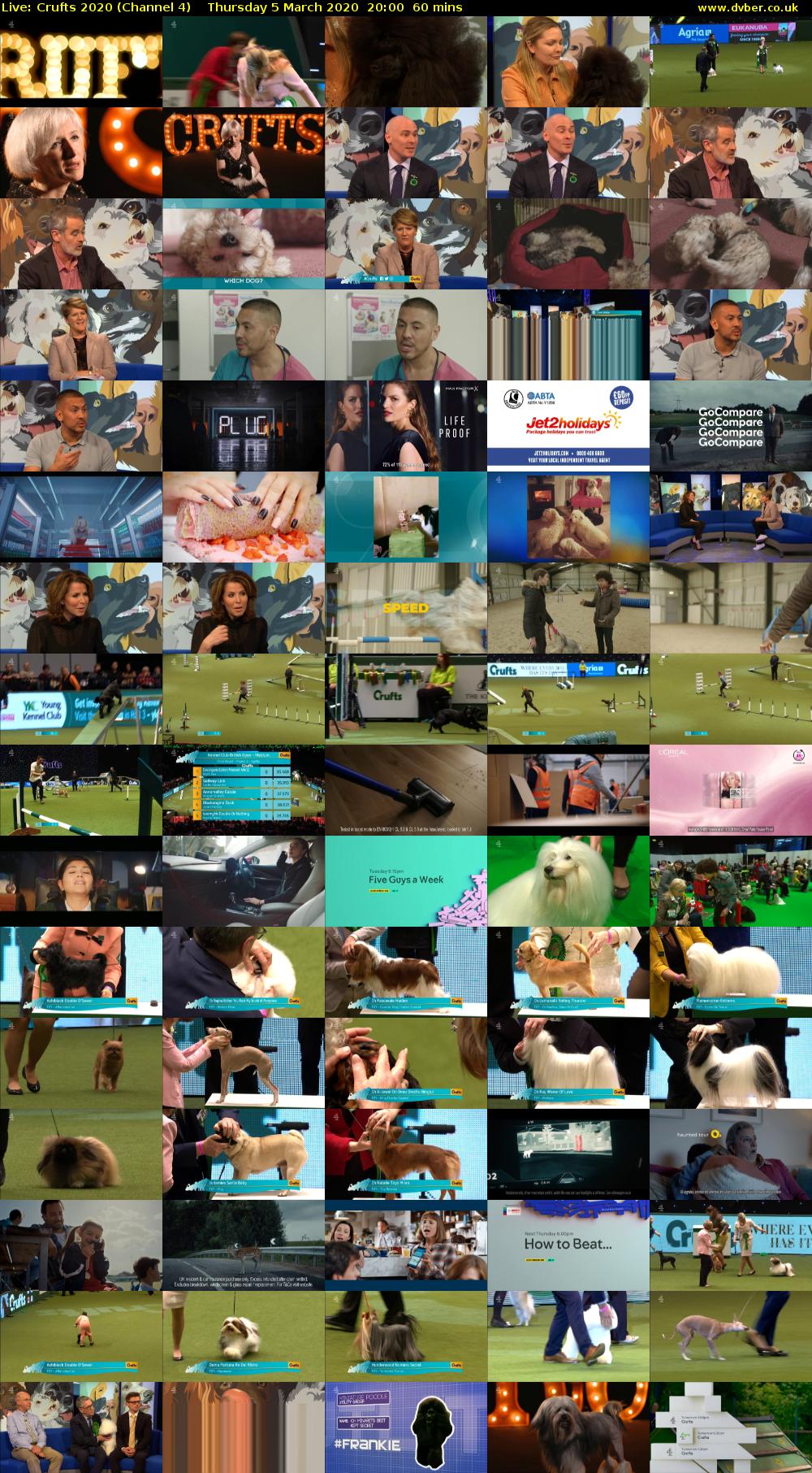 Live: Crufts 2020 (Channel 4) Thursday 5 March 2020 20:00 - 21:00