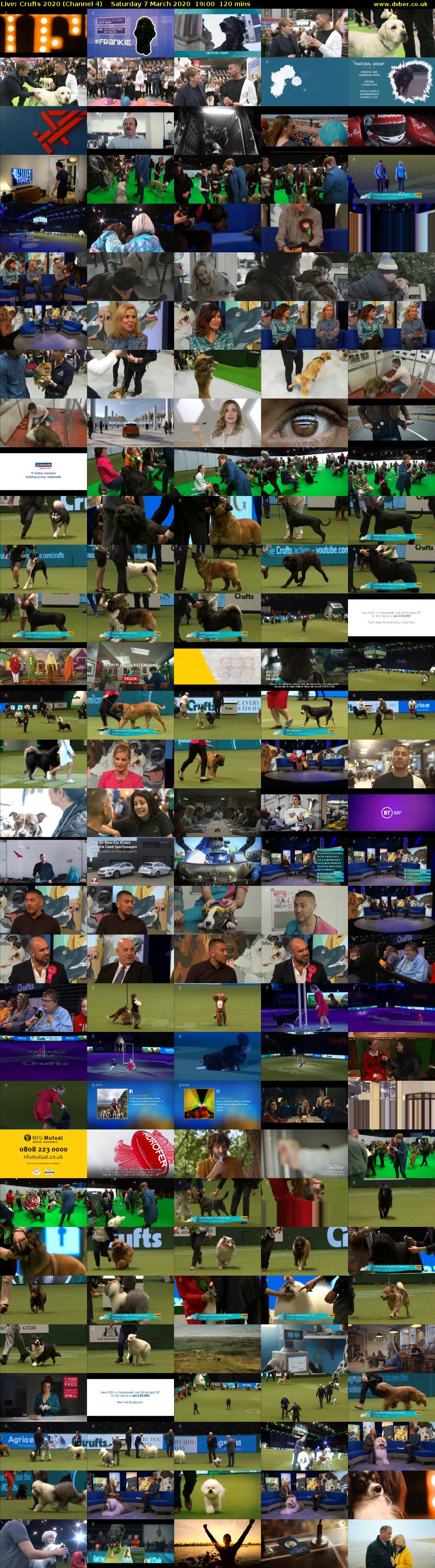 Live: Crufts 2020 (Channel 4) Saturday 7 March 2020 19:00 - 21:00
