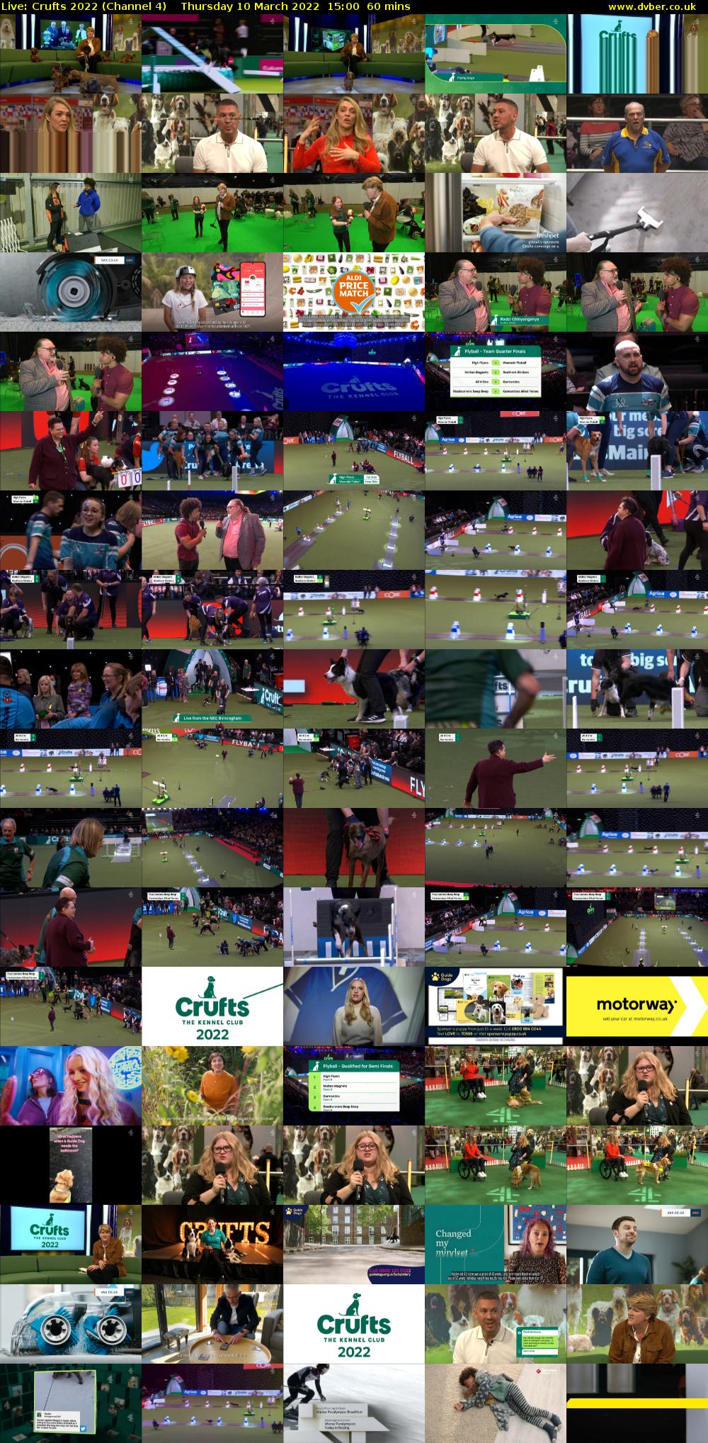 Live: Crufts 2022 (Channel 4) Thursday 10 March 2022 15:00 - 16:00