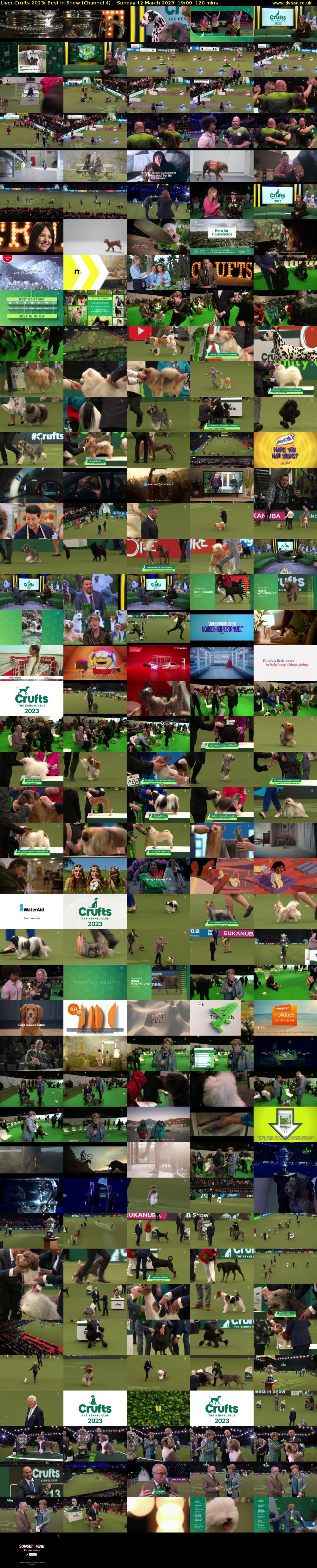Live: Crufts 2023: Best in Show (Channel 4) Sunday 12 March 2023 19:00 - 21:00
