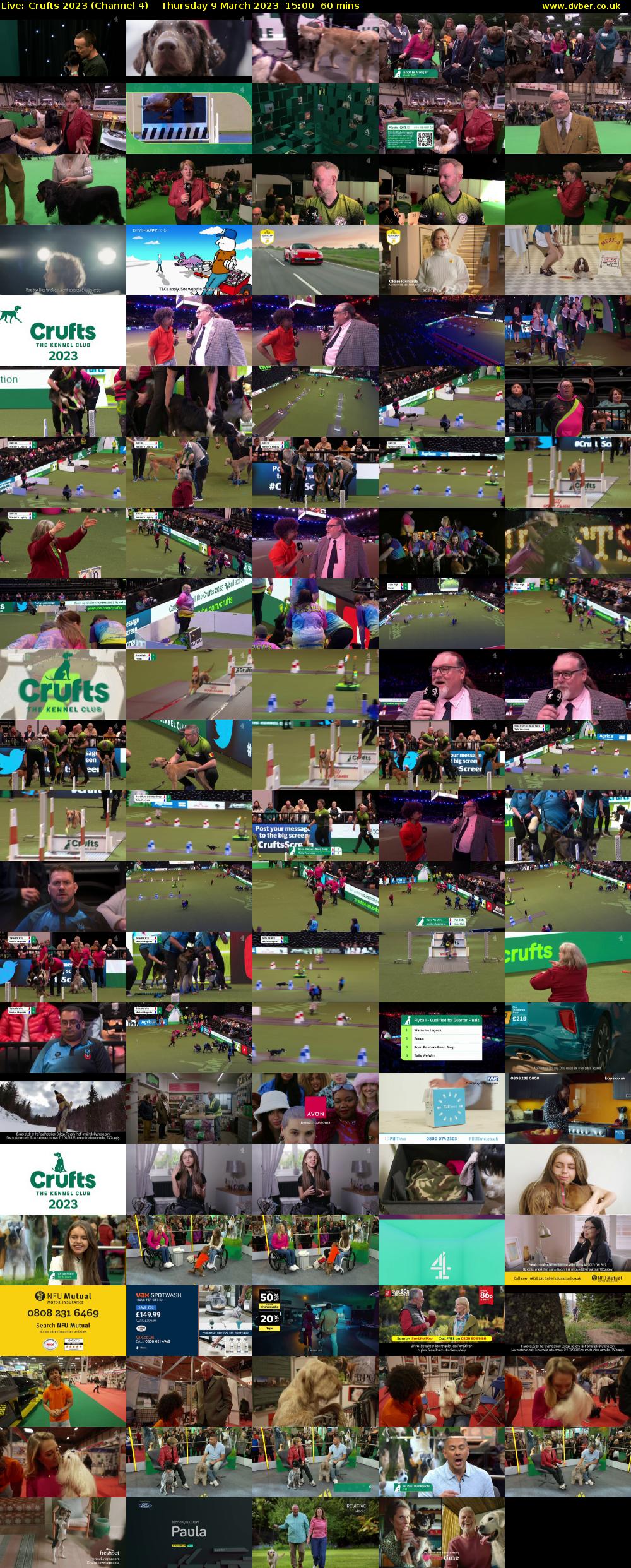 Live: Crufts 2023 (Channel 4) Thursday 9 March 2023 15:00 - 16:00