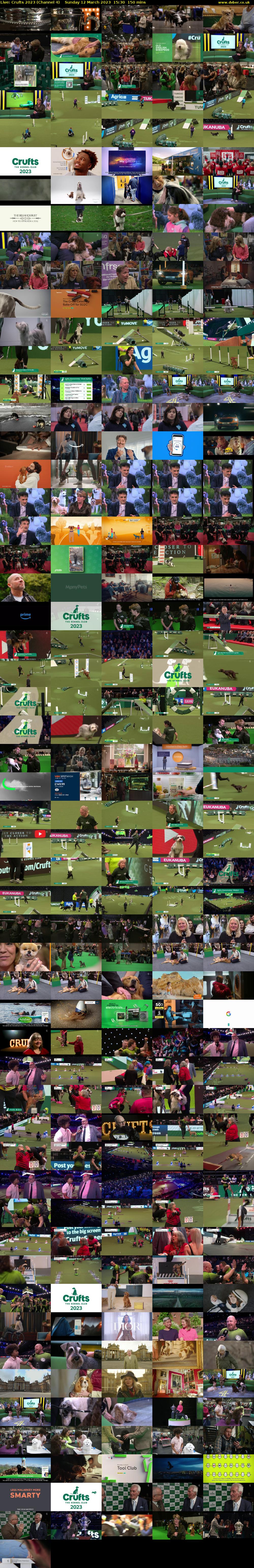 Live: Crufts 2023 (Channel 4) Sunday 12 March 2023 15:30 - 18:00