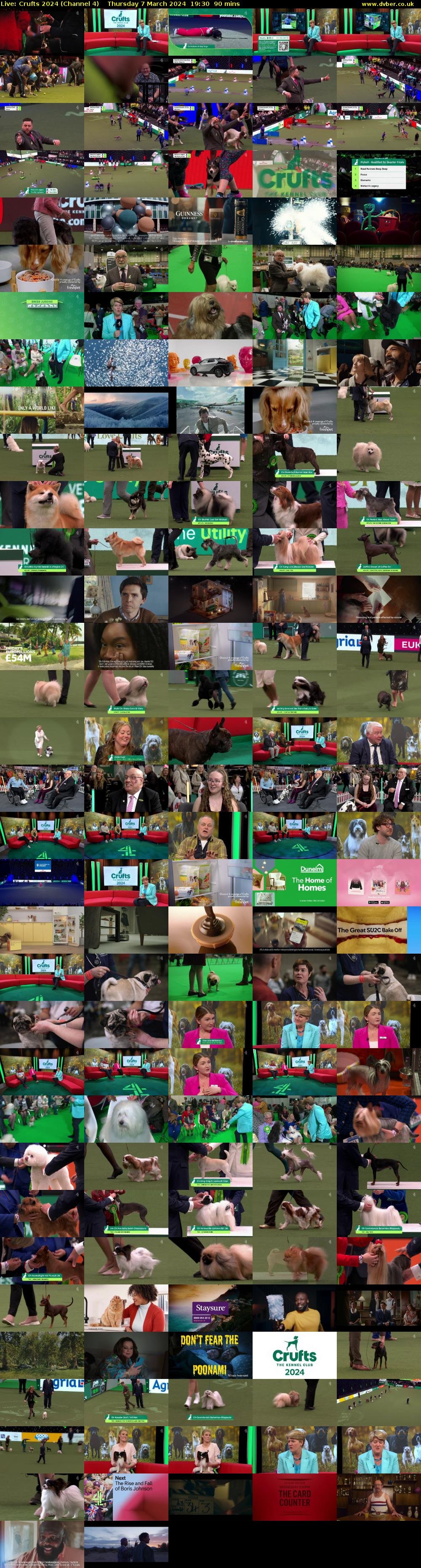 Live: Crufts 2024 (Channel 4) Thursday 7 March 2024 19:30 - 21:00