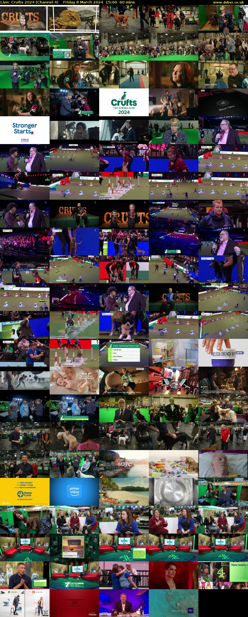 Live: Crufts 2024 (Channel 4) Friday 8 March 2024 15:00 - 16:00