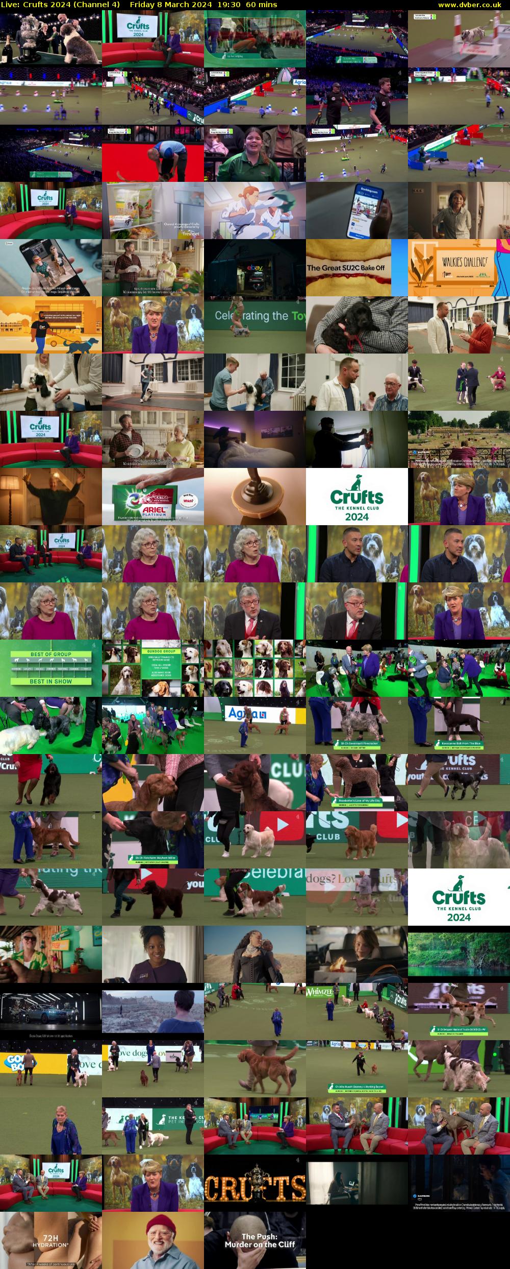 Live: Crufts 2024 (Channel 4) Friday 8 March 2024 19:30 - 20:30
