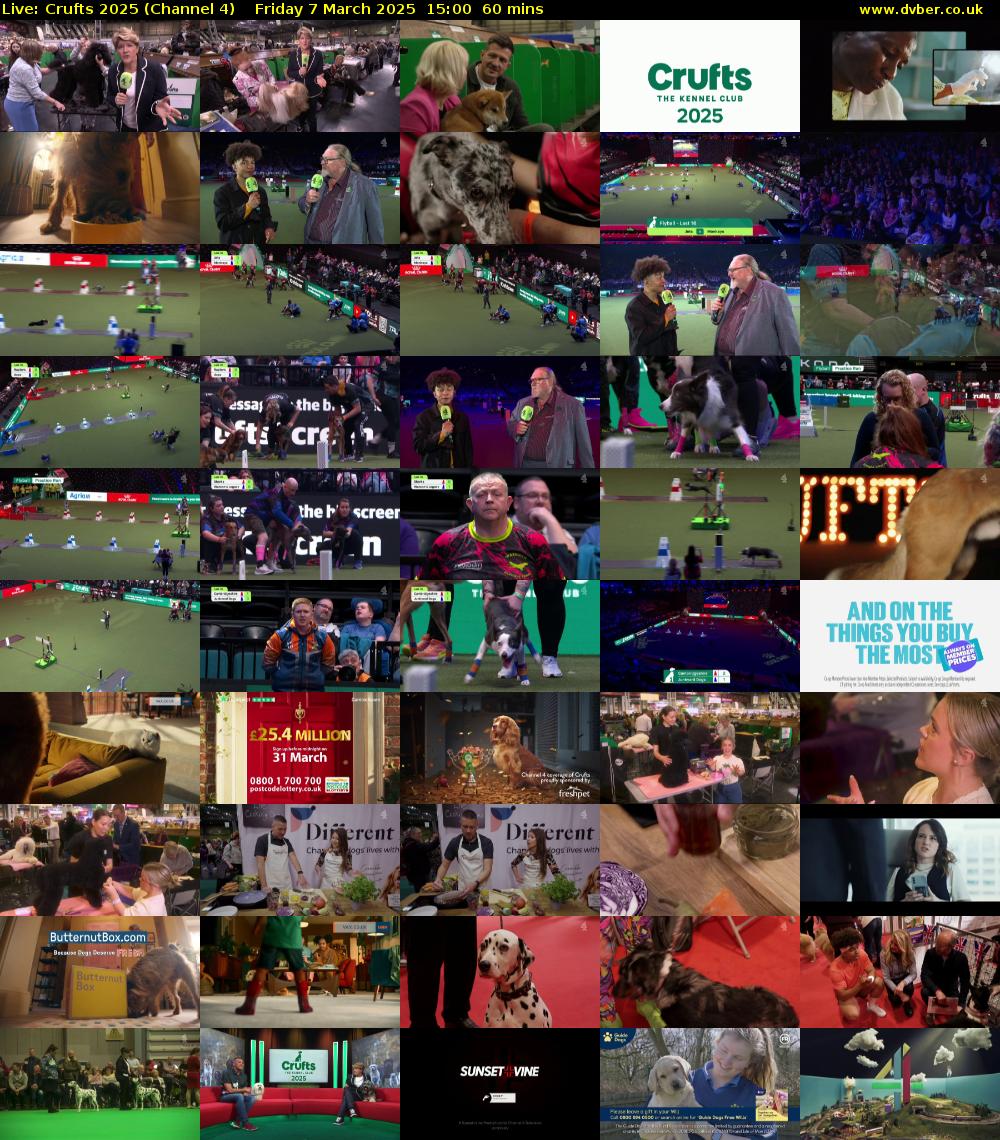 Live: Crufts 2025 (Channel 4) Friday 7 March 2025 15:00 - 16:00