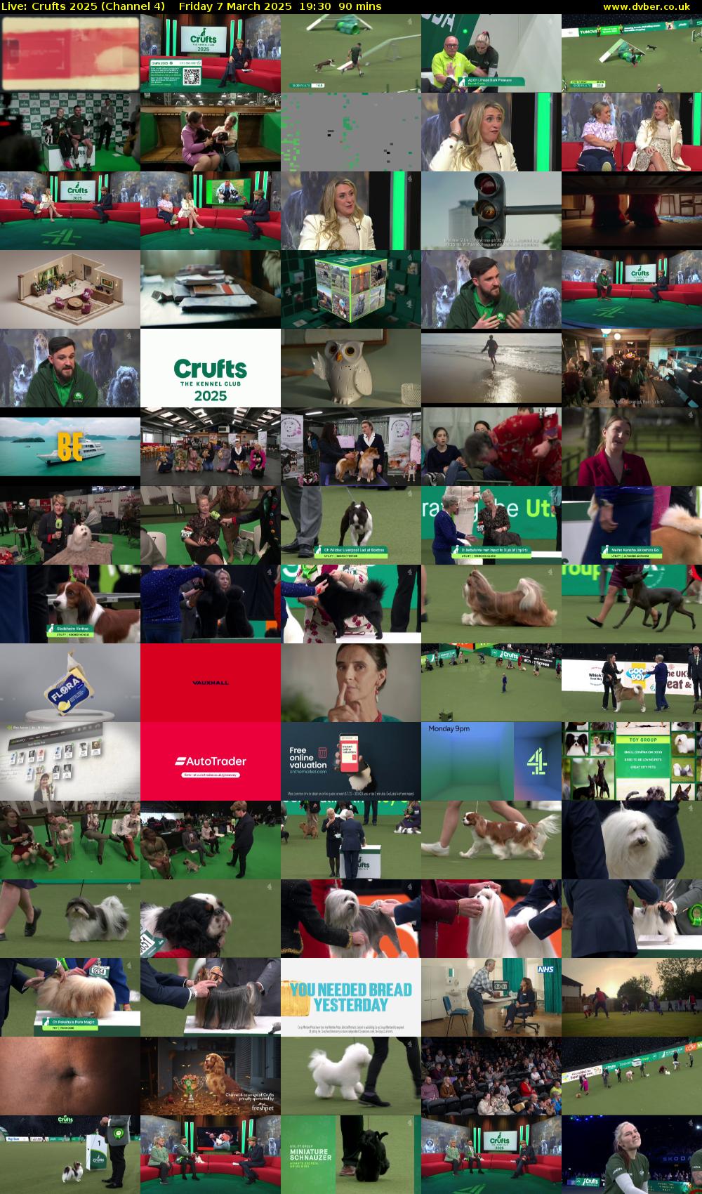 Live: Crufts 2025 (Channel 4) Friday 7 March 2025 19:30 - 21:00