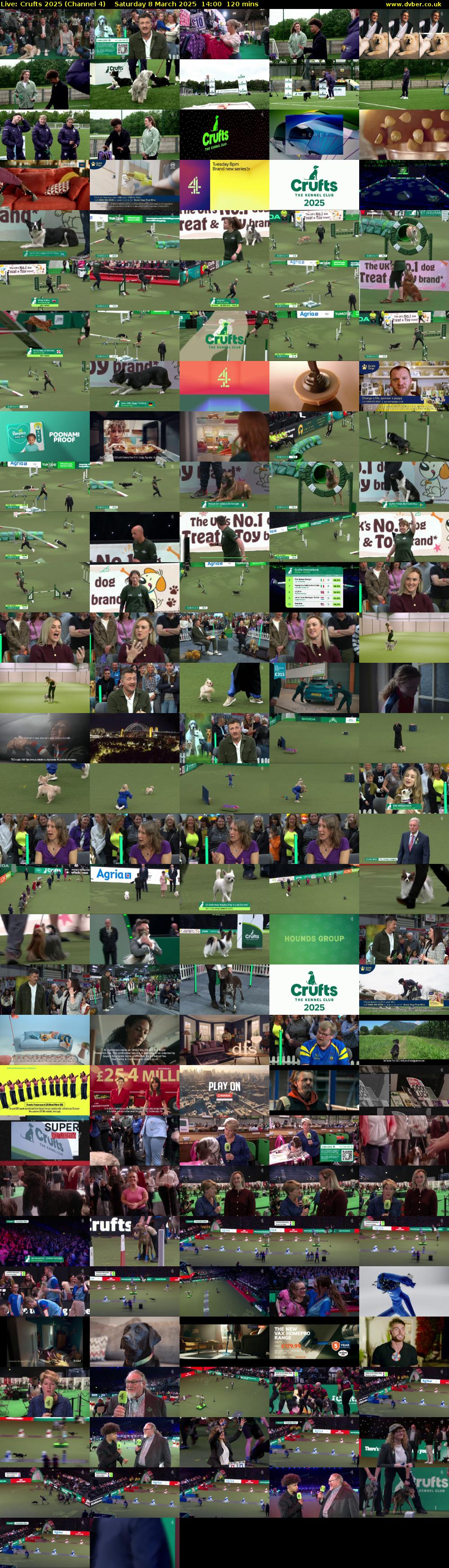 Live: Crufts 2025 (Channel 4) Saturday 8 March 2025 14:00 - 16:00