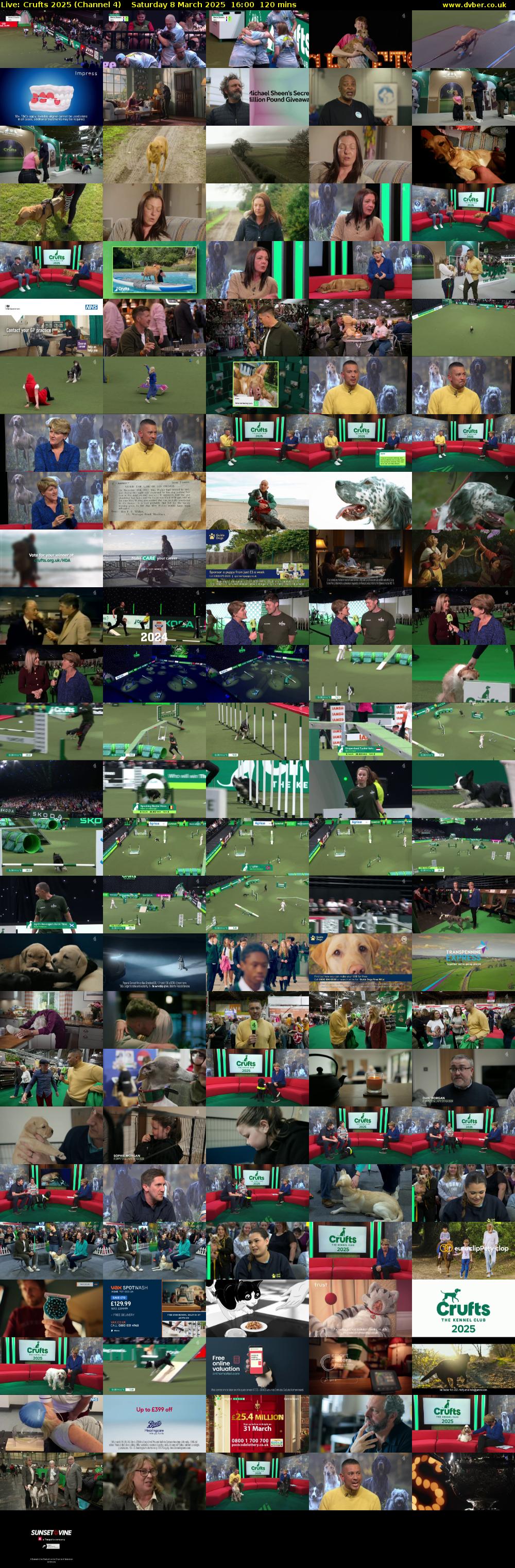 Live: Crufts 2025 (Channel 4) Saturday 8 March 2025 16:00 - 18:00