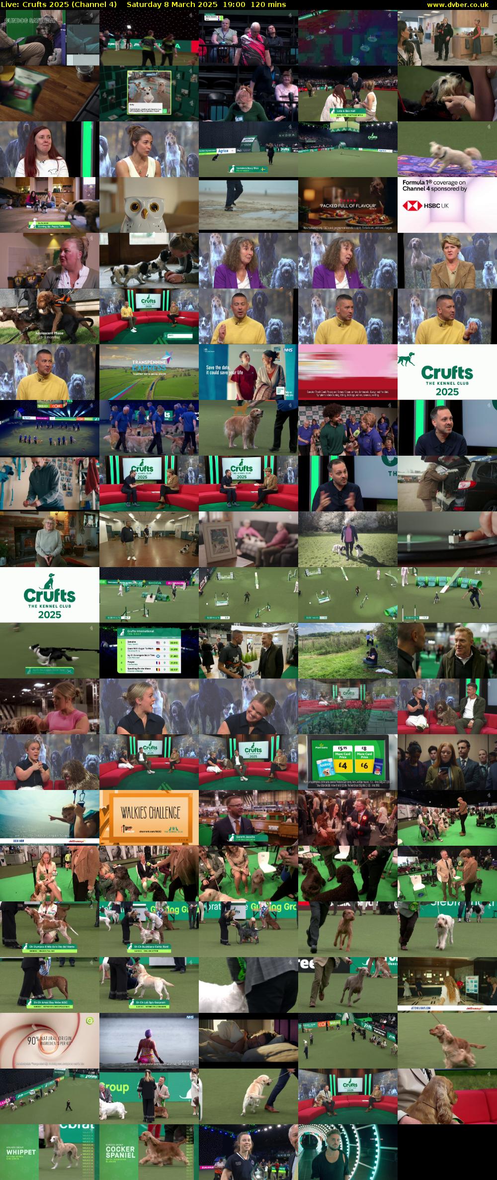 Live: Crufts 2025 (Channel 4) Saturday 8 March 2025 19:00 - 21:00