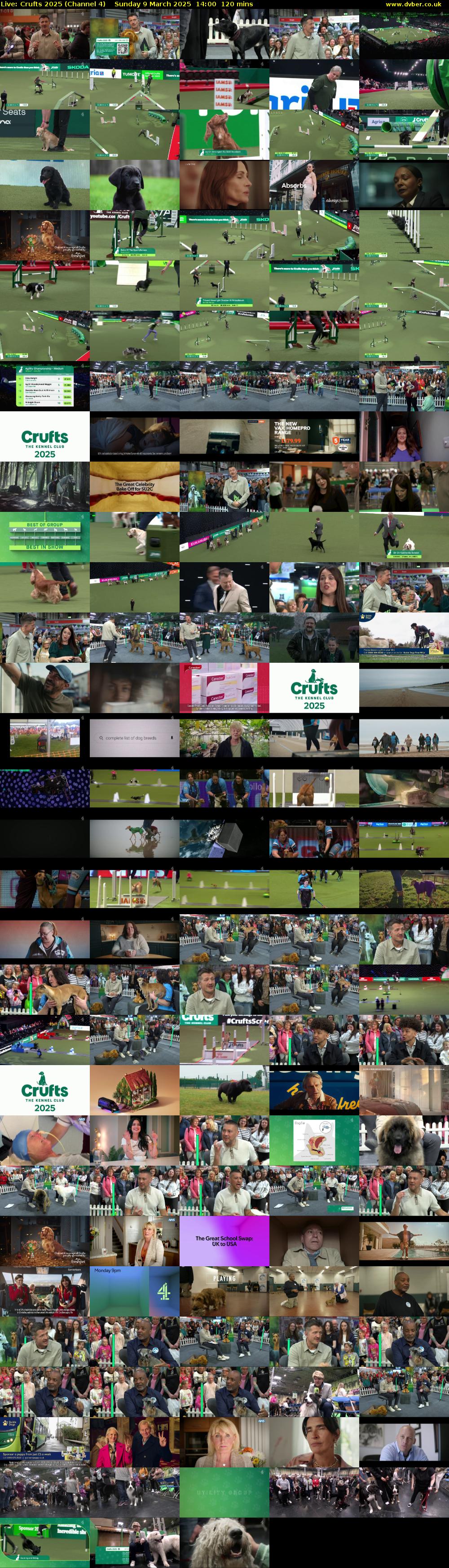 Live: Crufts 2025 (Channel 4) Sunday 9 March 2025 14:00 - 16:00