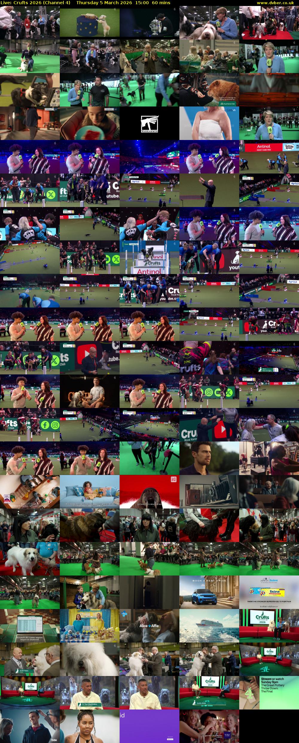 Live: Crufts 2026 (Channel 4) Thursday 5 March 2026 15:00 - 16:00