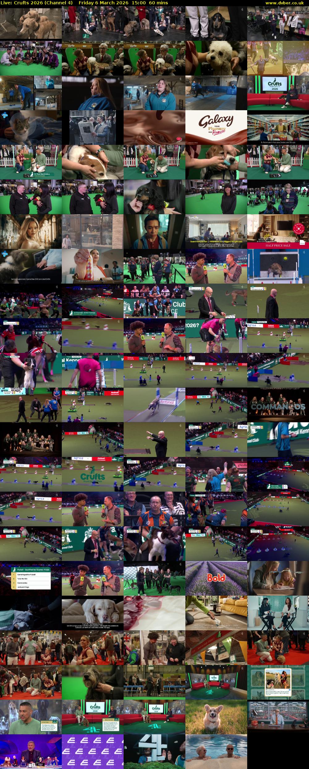 Live: Crufts 2026 (Channel 4) Friday 6 March 2026 15:00 - 16:00