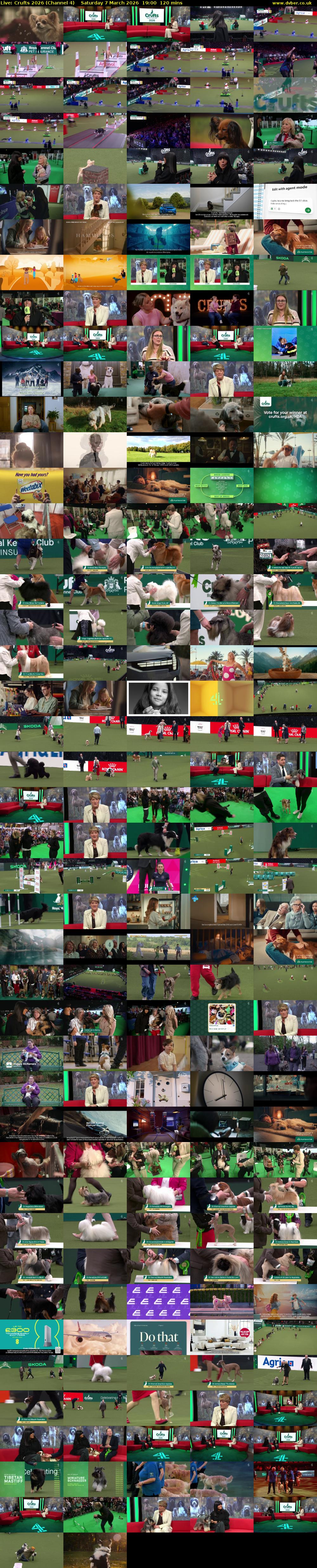 Live: Crufts 2026 (Channel 4) Saturday 7 March 2026 19:00 - 21:00