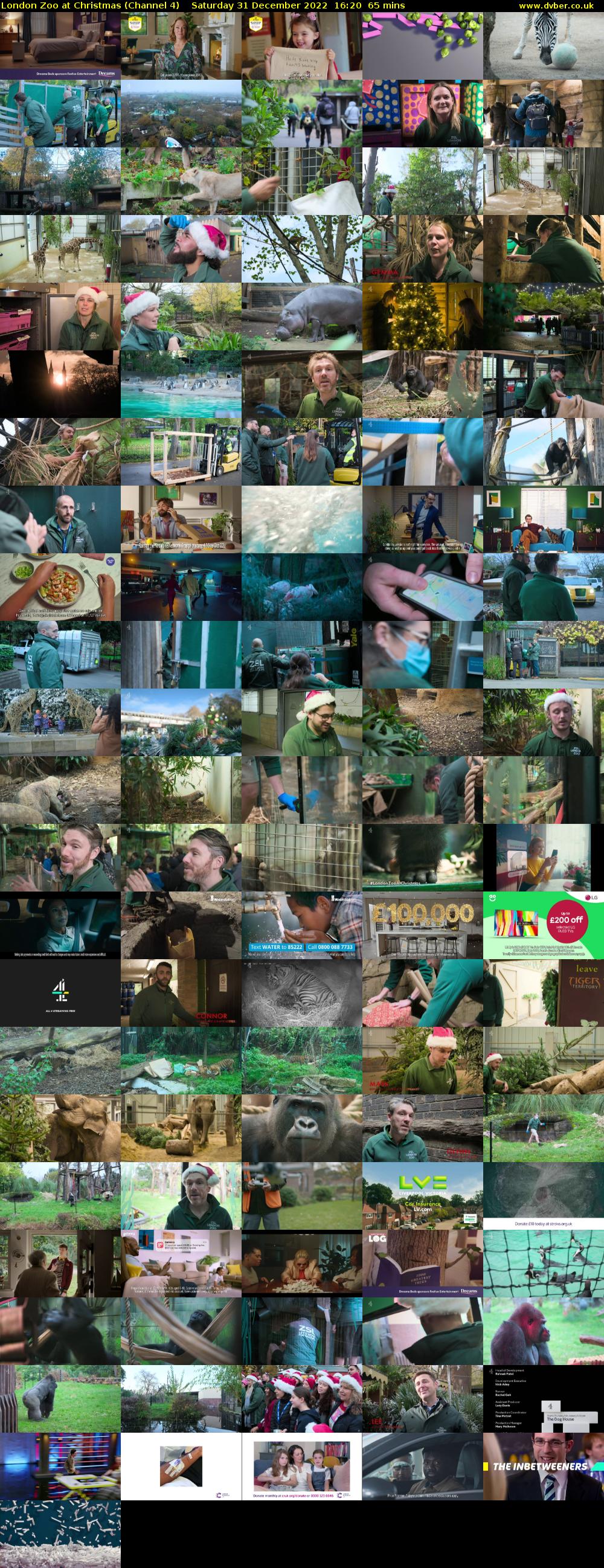 London Zoo at Christmas (Channel 4) Saturday 31 December 2022 16:20 - 17:25