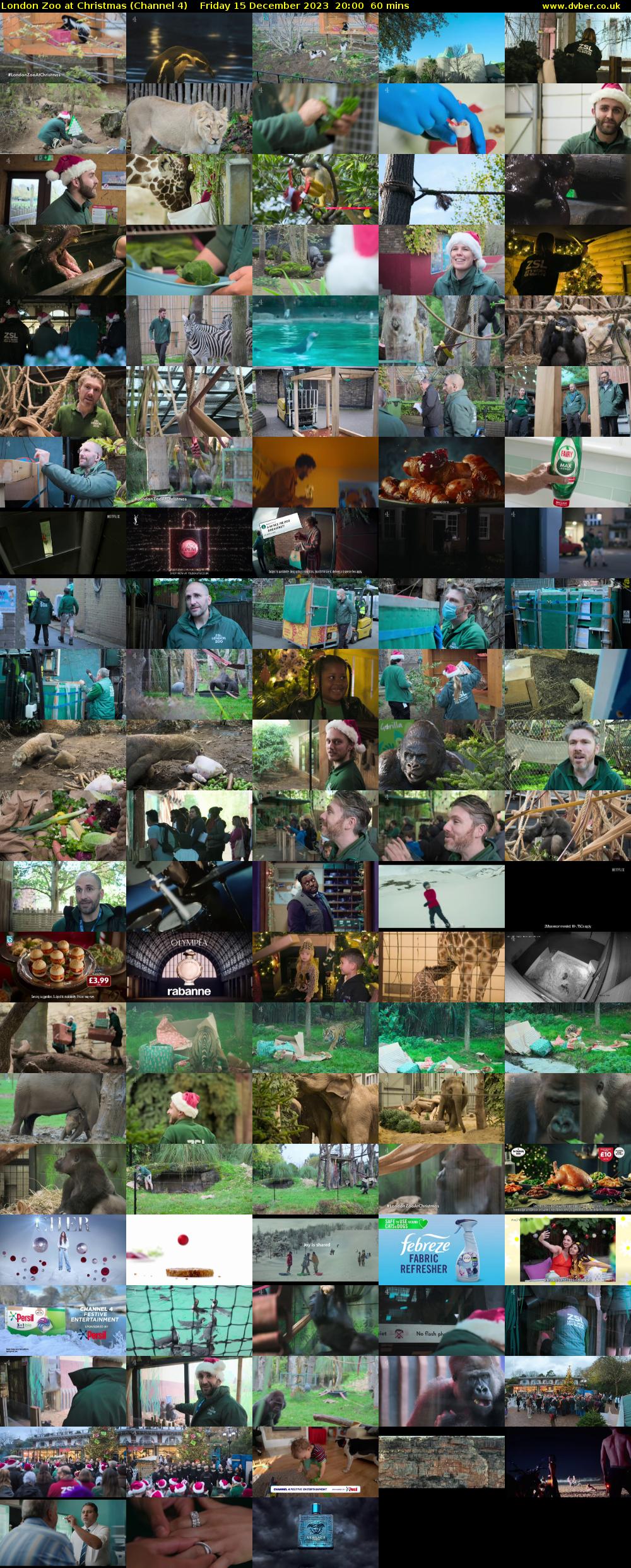 London Zoo at Christmas (Channel 4) Friday 15 December 2023 20:00 - 21:00