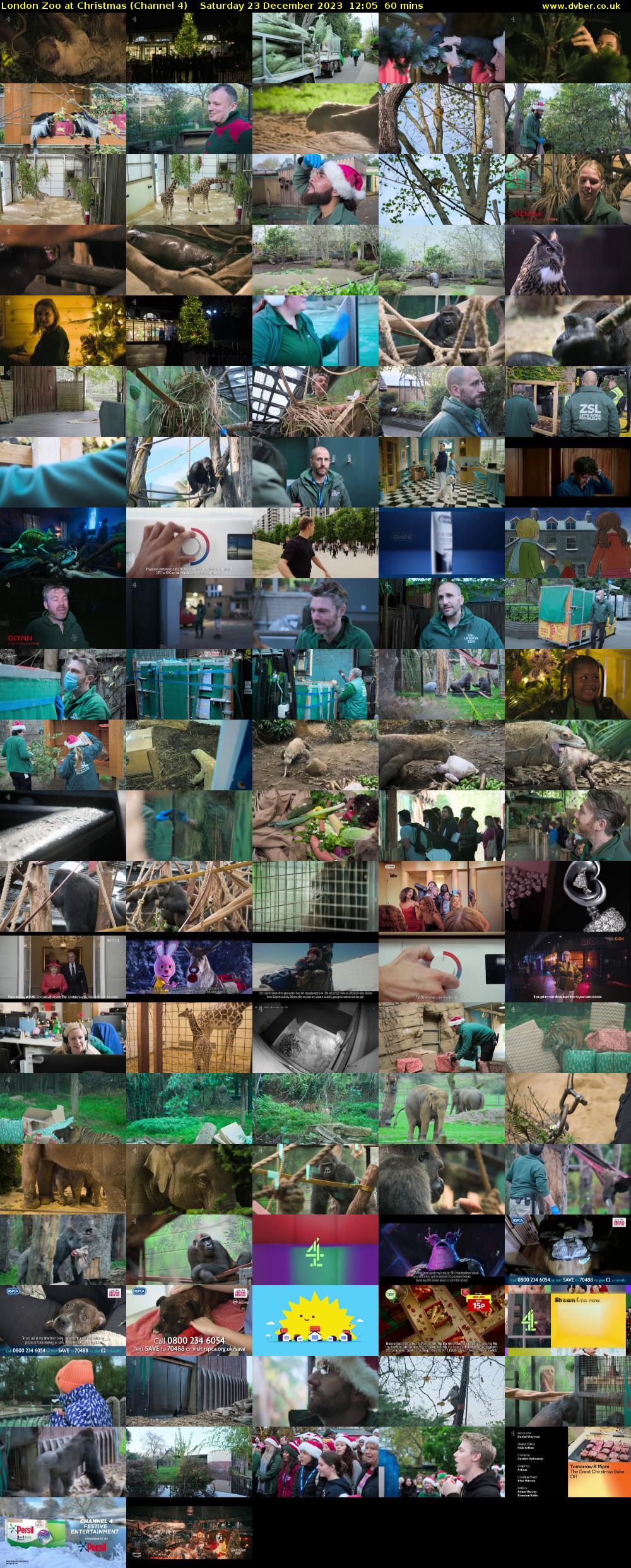 London Zoo at Christmas (Channel 4) Saturday 23 December 2023 12:05 - 13:05