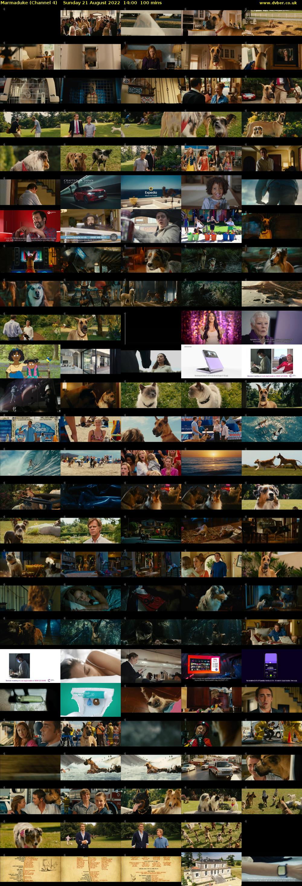 Marmaduke (Channel 4) Sunday 21 August 2022 14:00 - 15:40