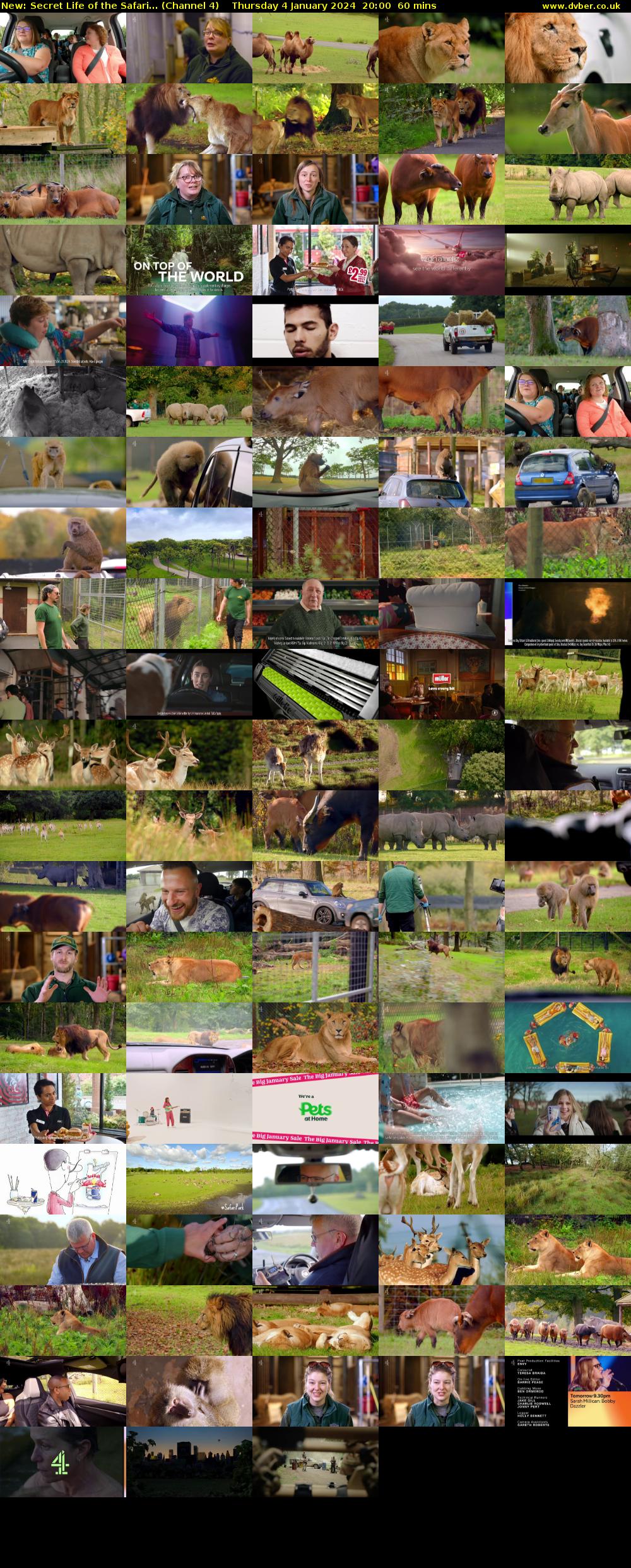 Secret Life of the Safari... (Channel 4) Thursday 4 January 2024 20:00 - 21:00