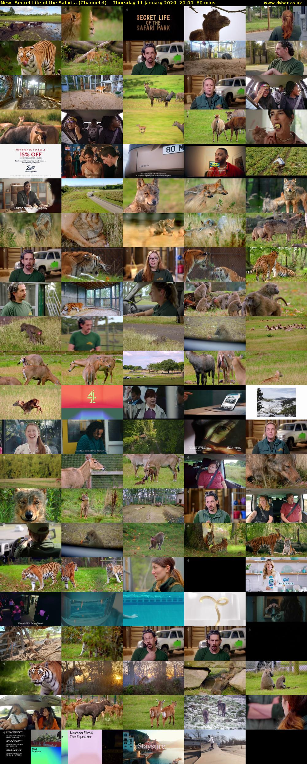 Secret Life of the Safari... (Channel 4) Thursday 11 January 2024 20:00 - 21:00
