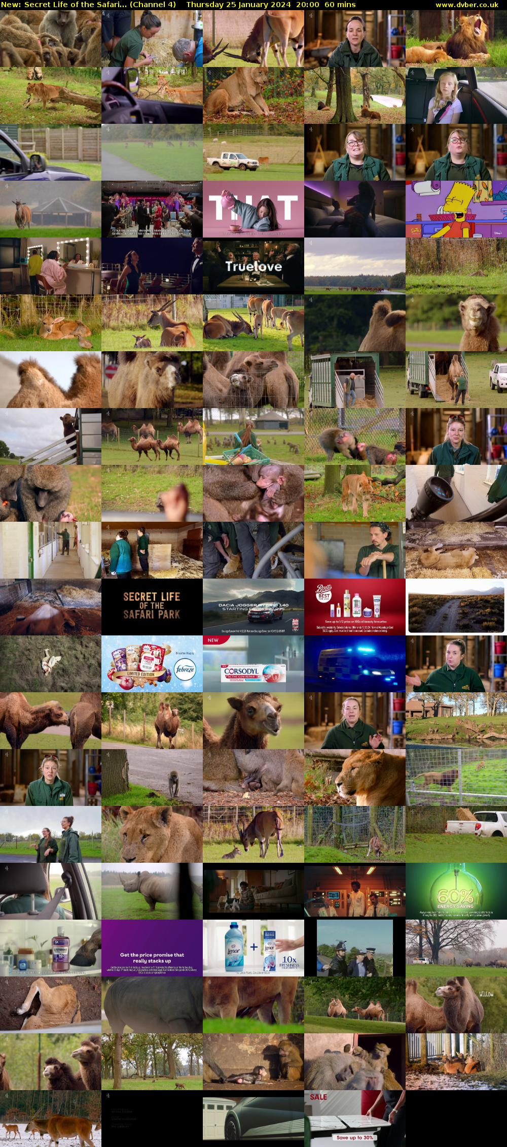 Secret Life of the Safari... (Channel 4) Thursday 25 January 2024 20:00 - 21:00