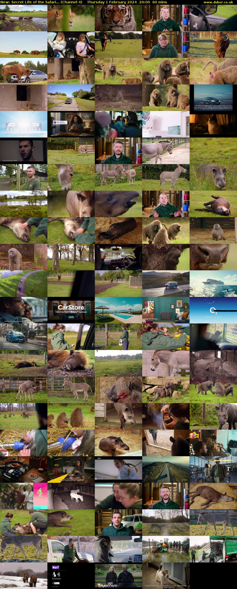 Secret Life of the Safari... (Channel 4) Thursday 1 February 2024 20:00 - 21:00