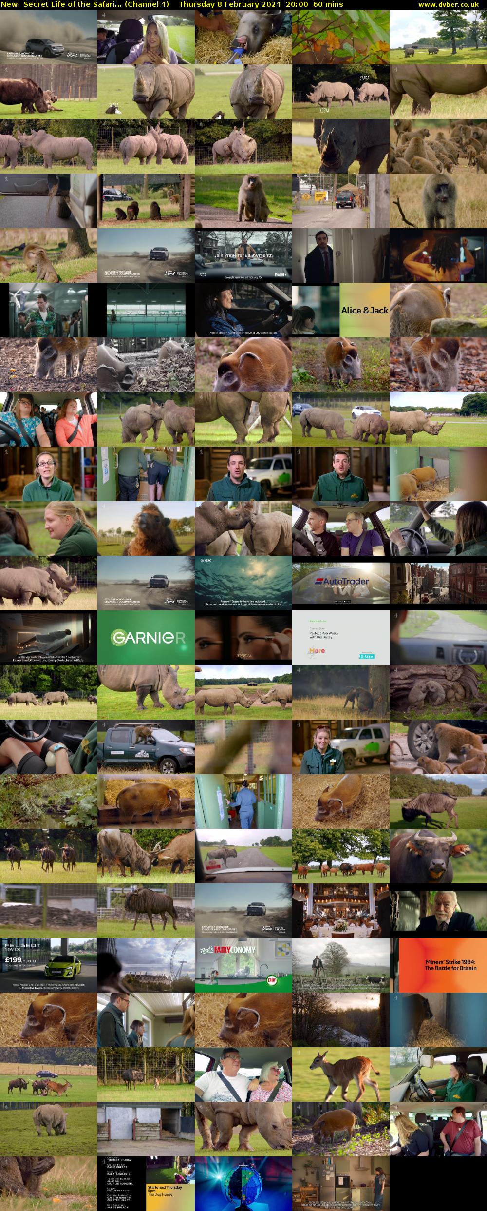 Secret Life of the Safari... (Channel 4) Thursday 8 February 2024 20:00 - 21:00
