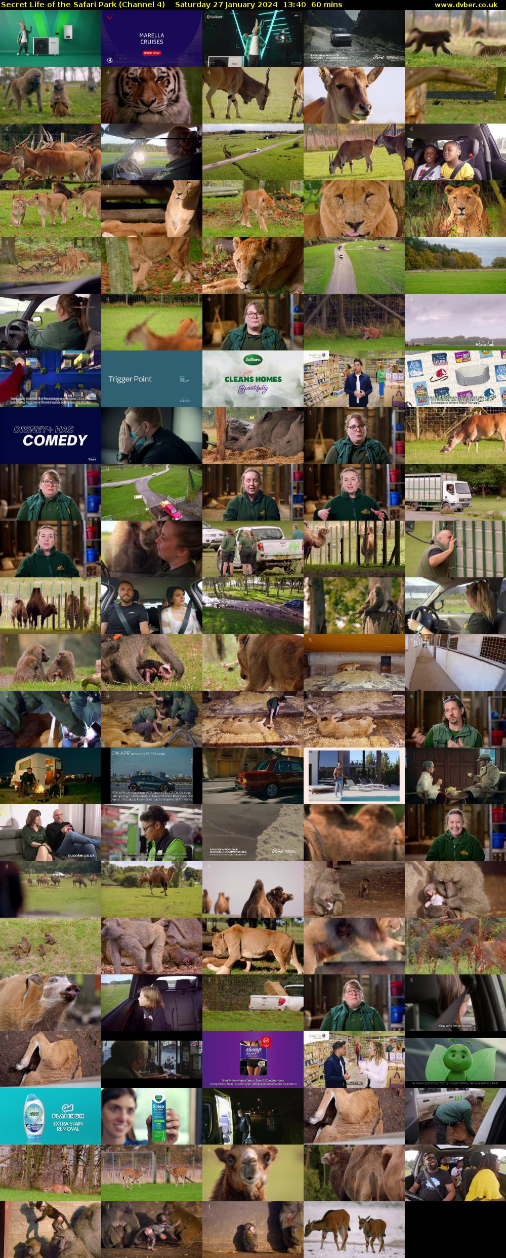 Secret Life of the Safari Park (Channel 4) Saturday 27 January 2024 13:40 - 14:40