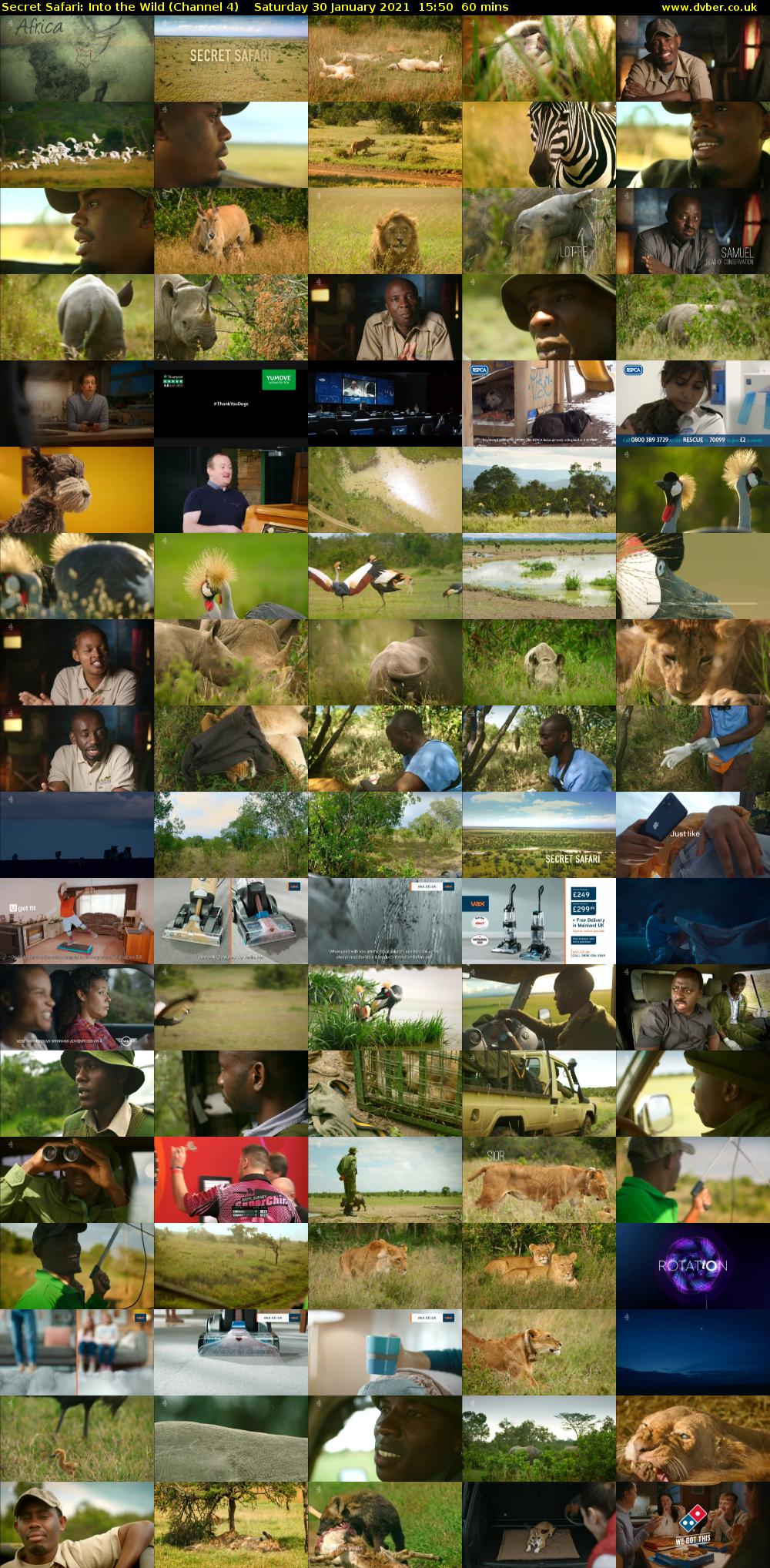 Secret Safari: Into the Wild (Channel 4) Saturday 30 January 2021 15:50 - 16:50