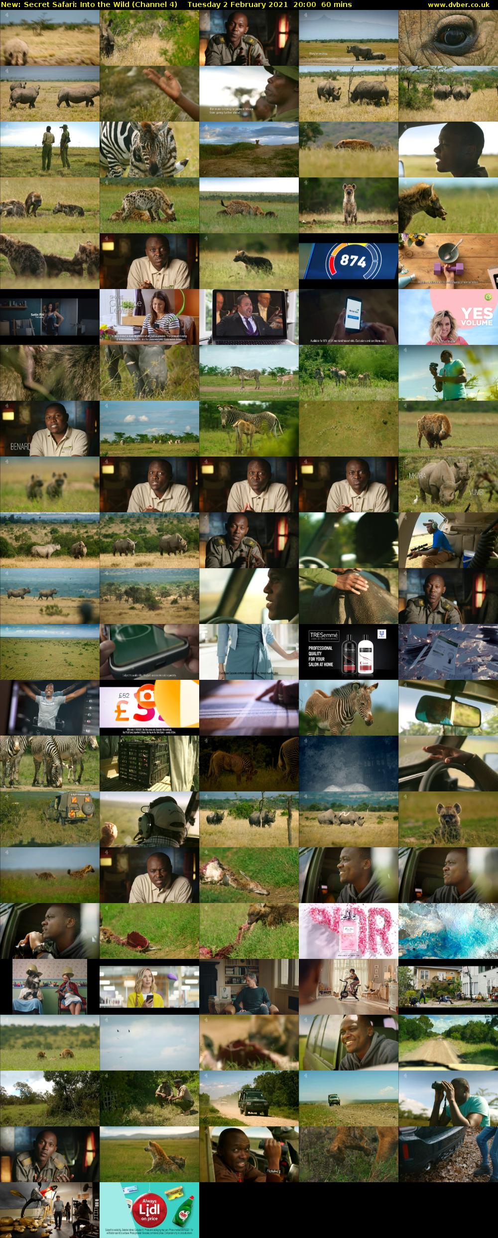 Secret Safari: Into the Wild (Channel 4) Tuesday 2 February 2021 20:00 - 21:00