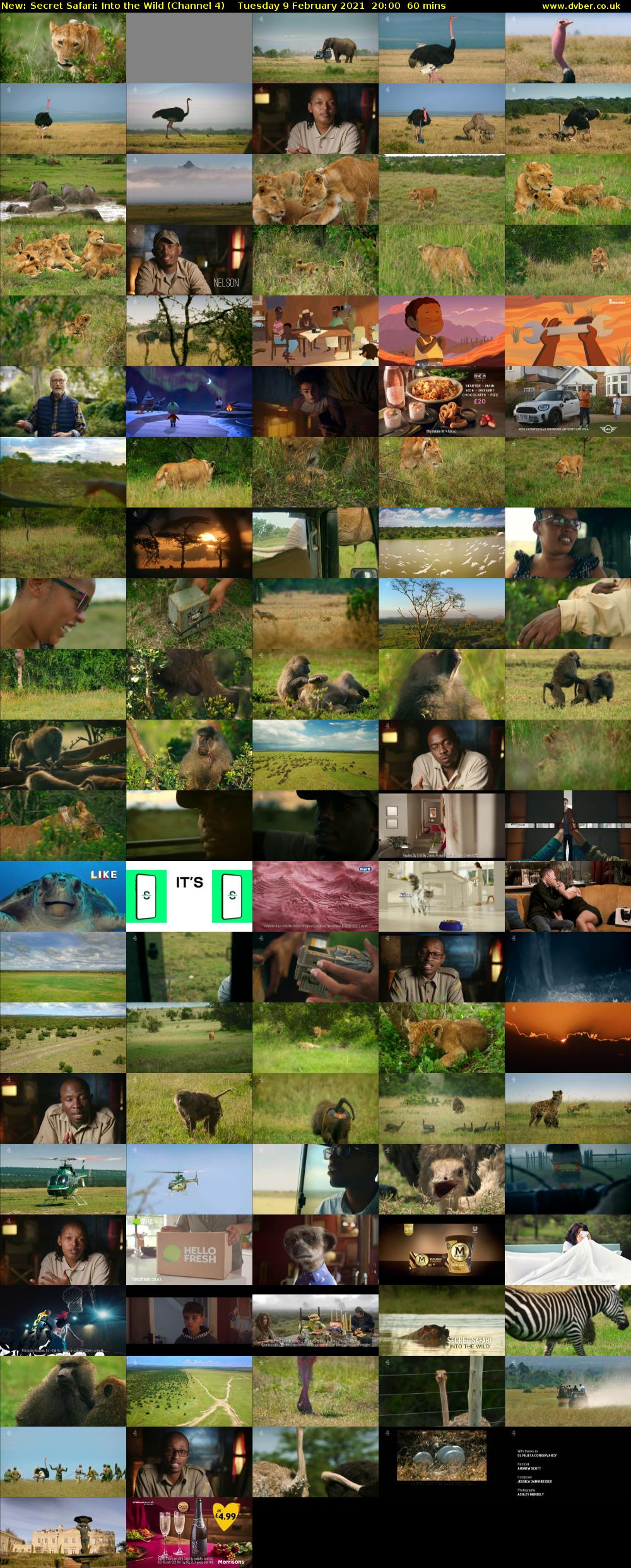 Secret Safari: Into the Wild (Channel 4) Tuesday 9 February 2021 20:00 - 21:00