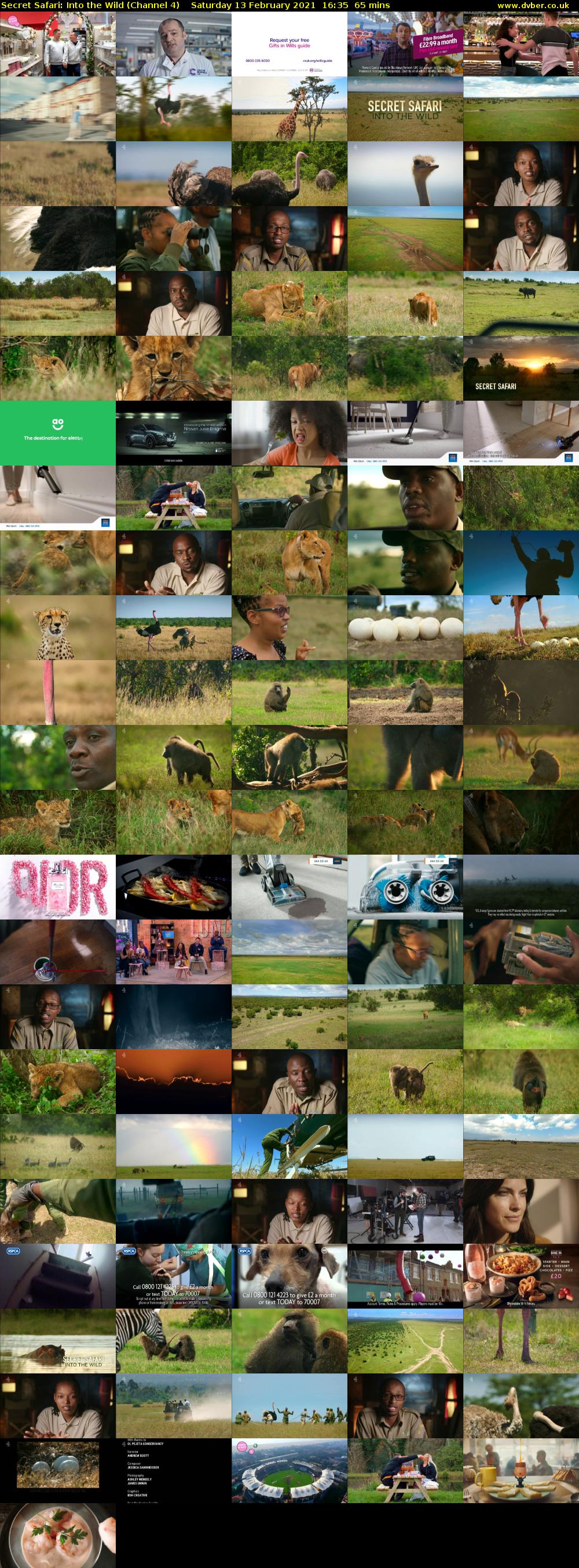 Secret Safari: Into the Wild (Channel 4) Saturday 13 February 2021 16:35 - 17:40