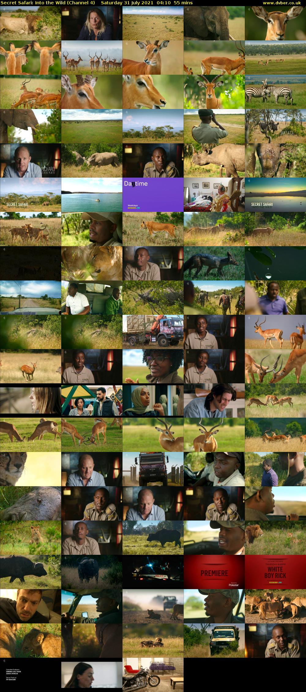 Secret Safari: Into the Wild (Channel 4) Saturday 31 July 2021 04:10 - 05:05
