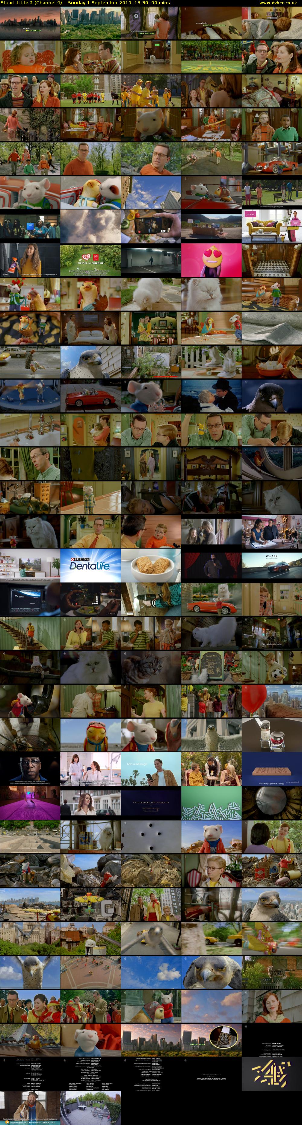 Stuart Little 2 (Channel 4) Sunday 1 September 2019 13:30 - 15:00