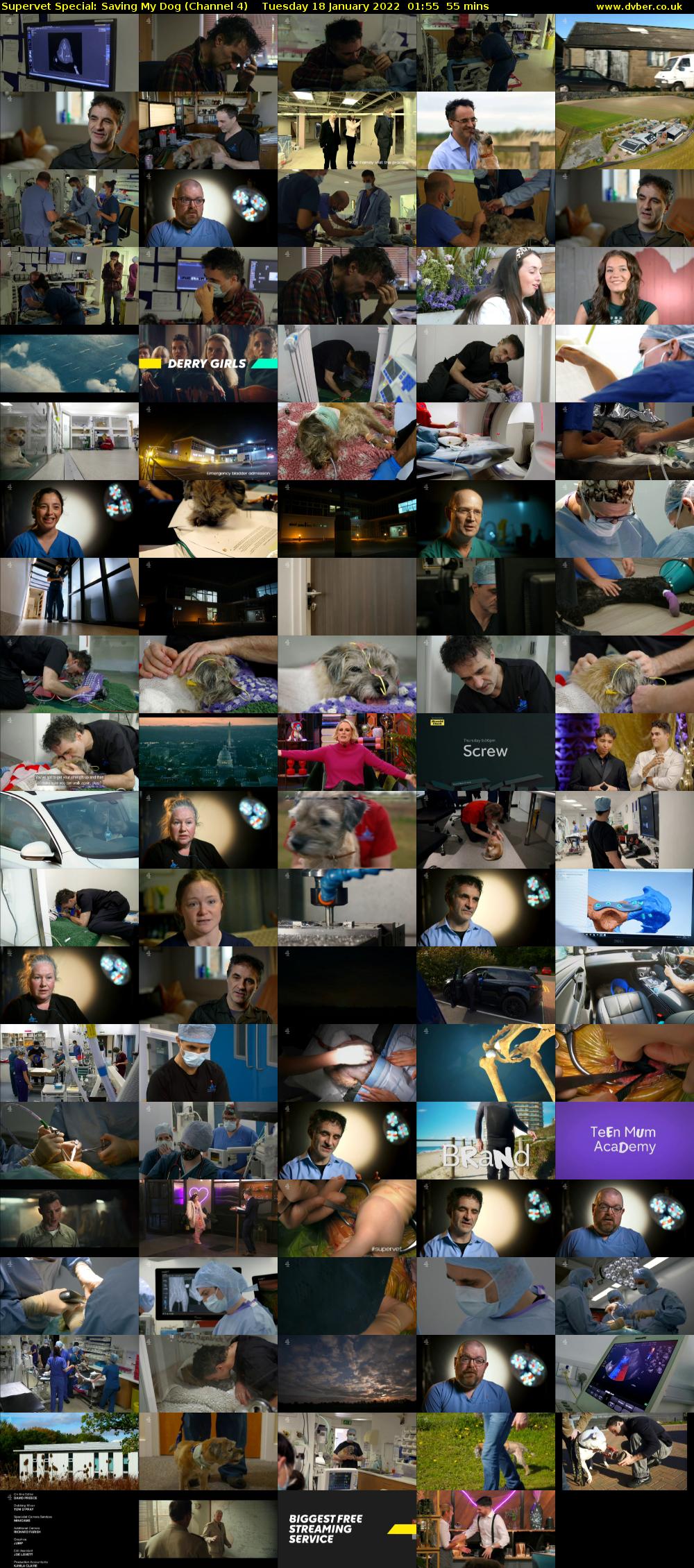 Supervet Special: Saving My Dog (Channel 4) Tuesday 18 January 2022 01:55 - 02:50