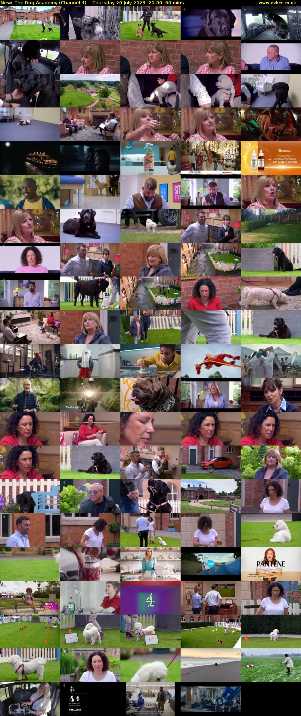 The Dog Academy (Channel 4) Thursday 20 July 2023 20:00 - 21:00