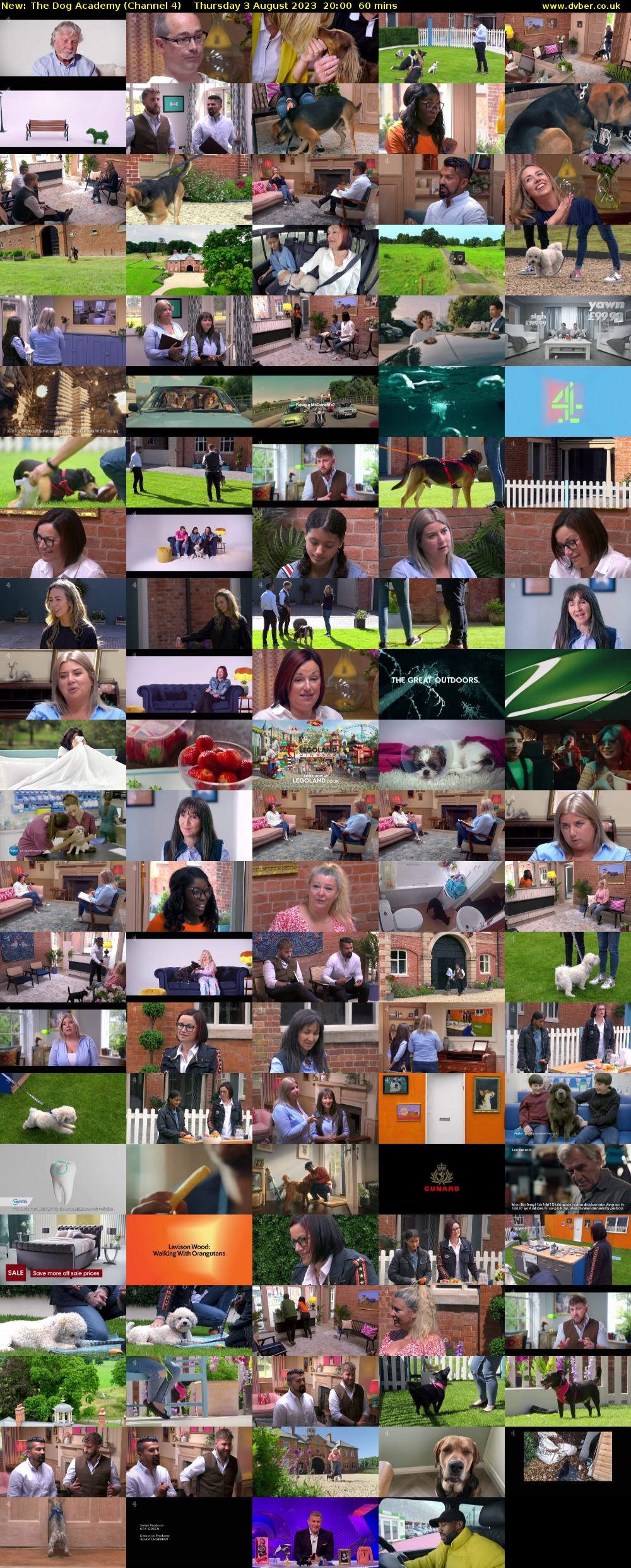 The Dog Academy (Channel 4) Thursday 3 August 2023 20:00 - 21:00