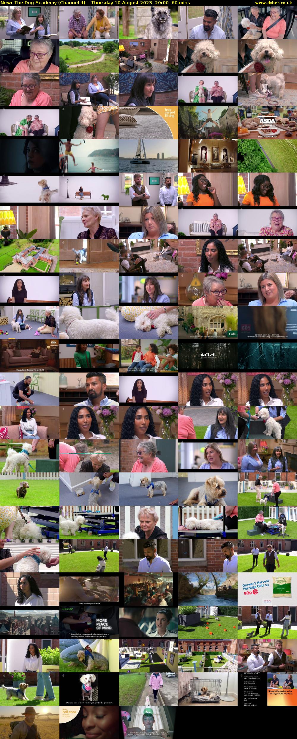 The Dog Academy (Channel 4) Thursday 10 August 2023 20:00 - 21:00
