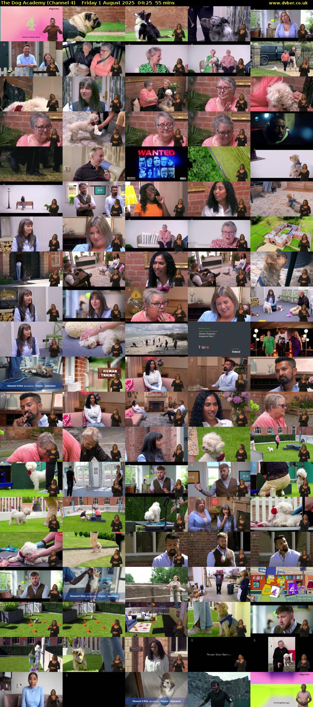 The Dog Academy (Channel 4) Friday 1 August 2025 04:25 - 05:20