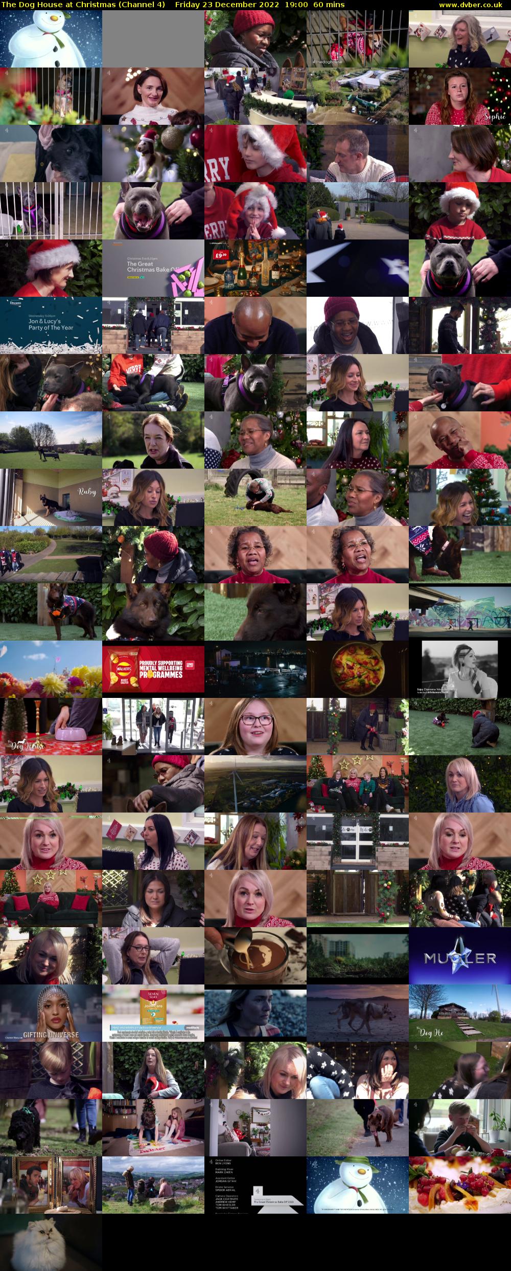 The Dog House at Christmas (Channel 4) Friday 23 December 2022 19:00 - 20:00