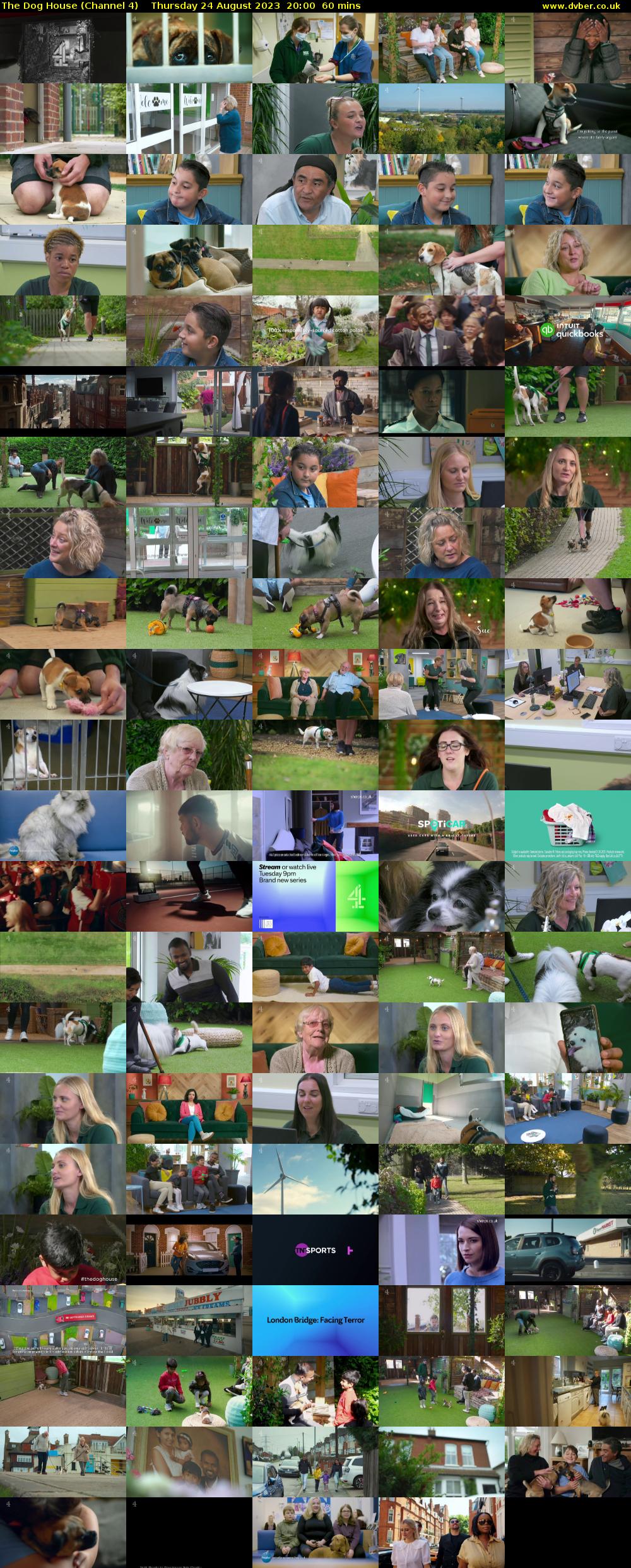 The Dog House (Channel 4) Thursday 24 August 2023 20:00 - 21:00