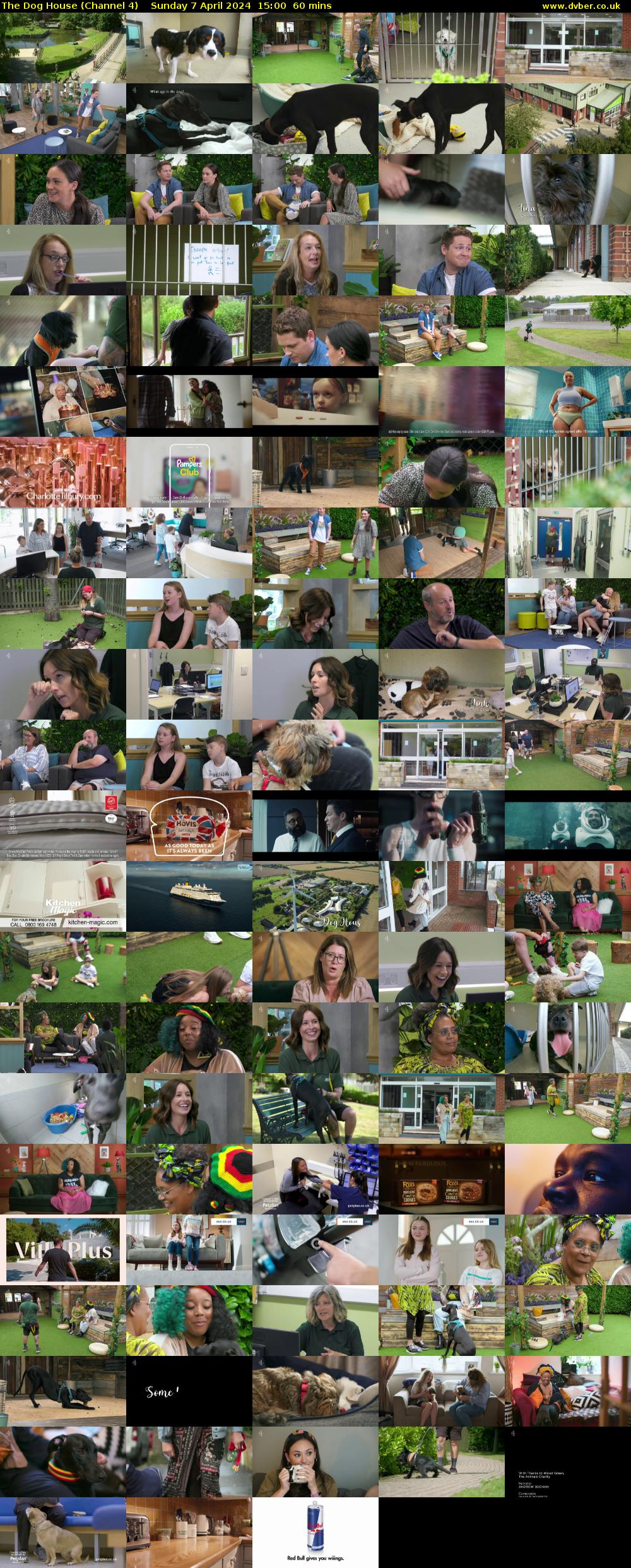 The Dog House (Channel 4) Sunday 7 April 2024 15:00 - 16:00