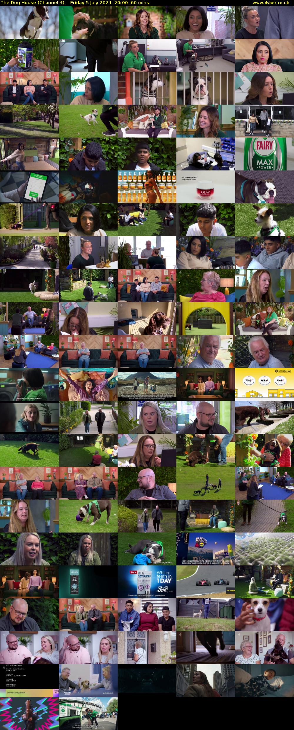 The Dog House (Channel 4) Friday 5 July 2024 20:00 - 21:00