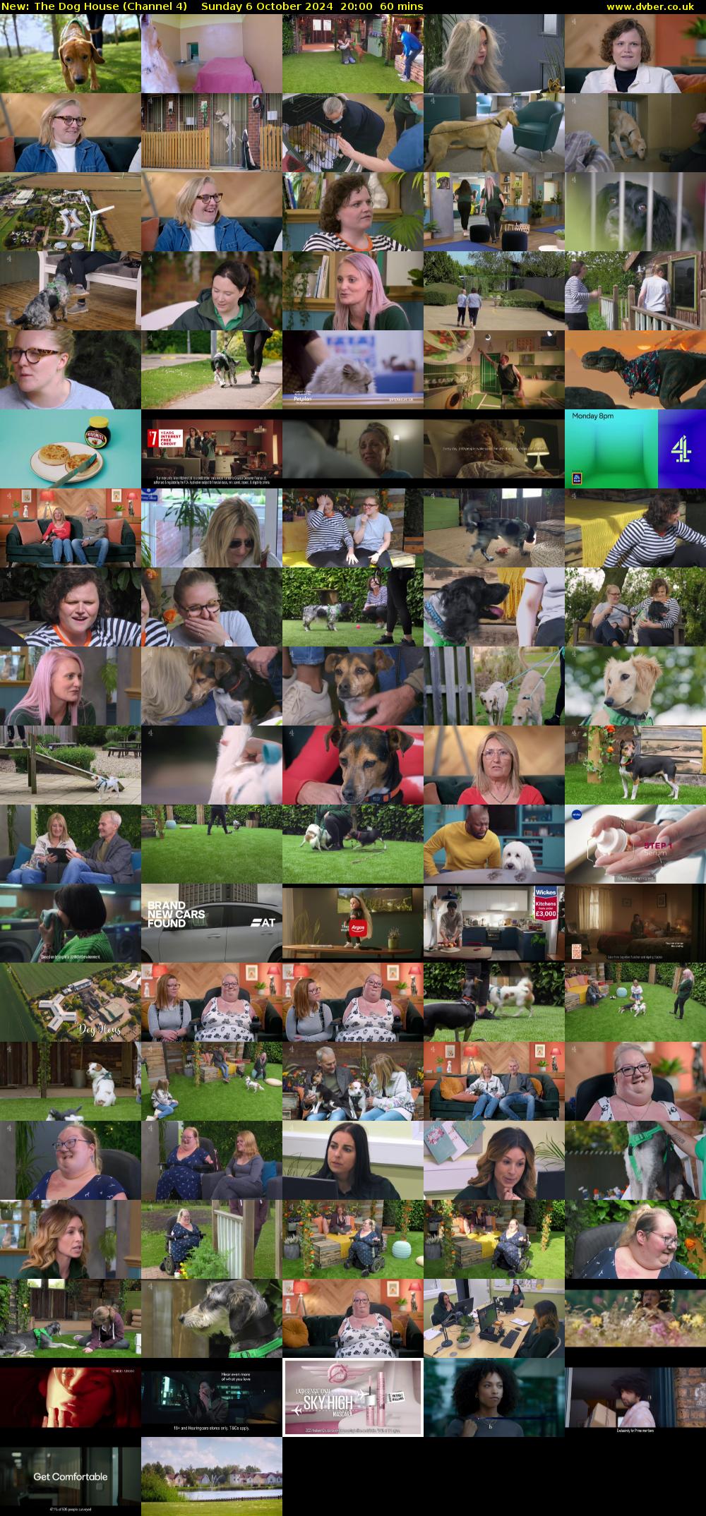 The Dog House (Channel 4) Sunday 6 October 2024 20:00 - 21:00