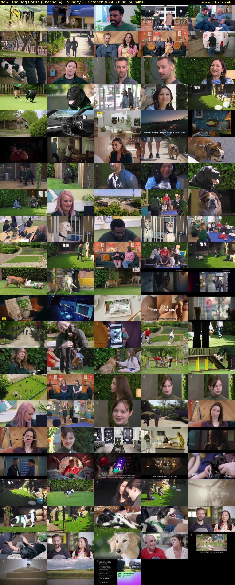 The Dog House (Channel 4) Sunday 13 October 2024 20:00 - 21:00