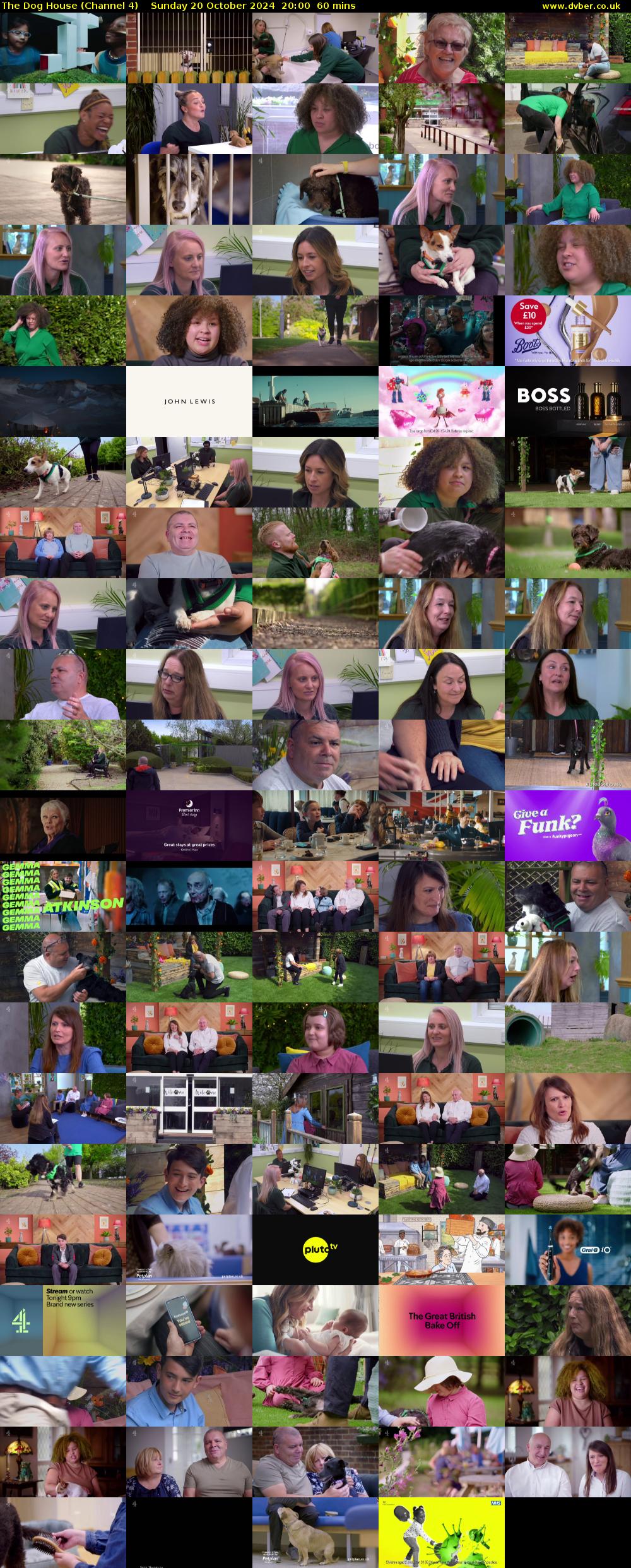 The Dog House (Channel 4) Sunday 20 October 2024 20:00 - 21:00