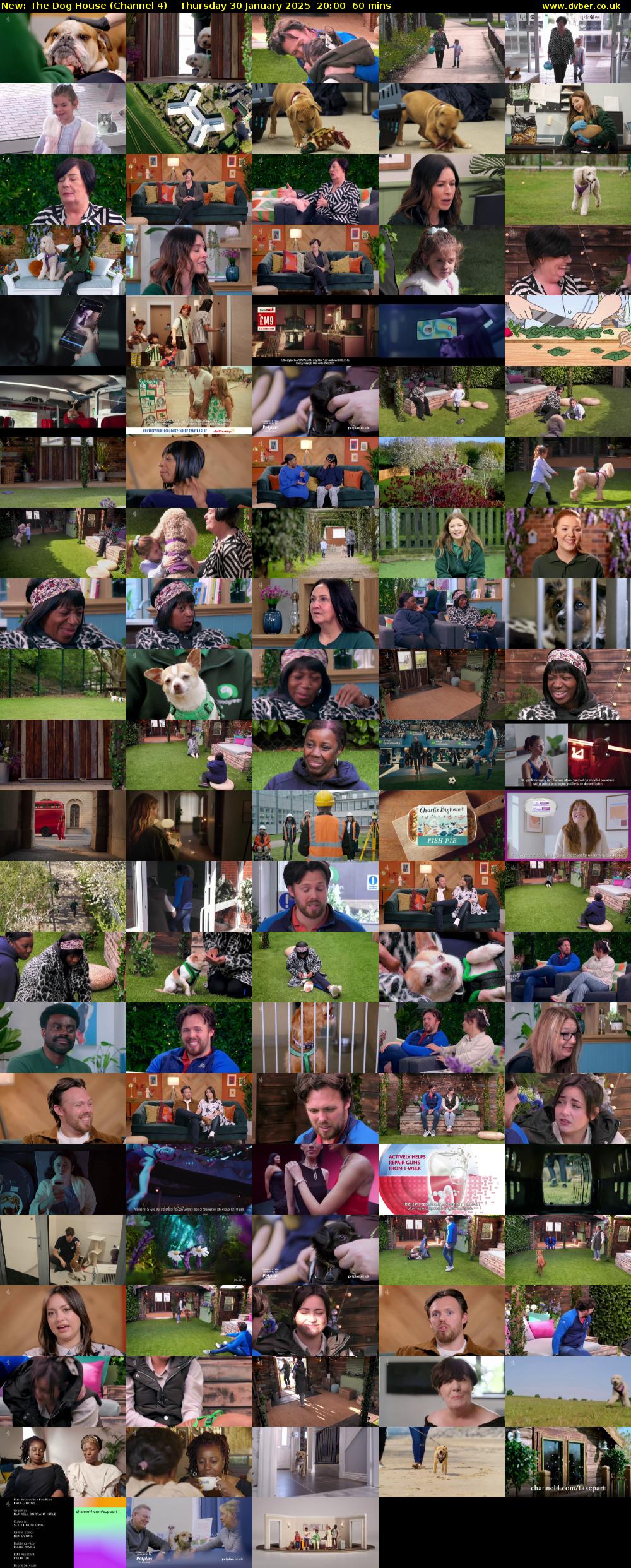 The Dog House (Channel 4) Thursday 30 January 2025 20:00 - 21:00