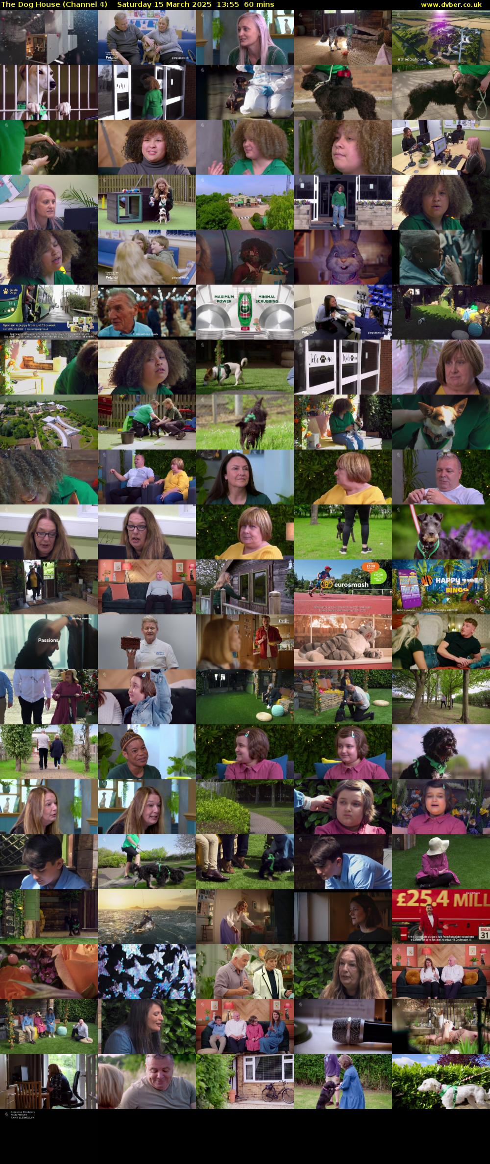 The Dog House (Channel 4) Saturday 15 March 2025 13:55 - 14:55