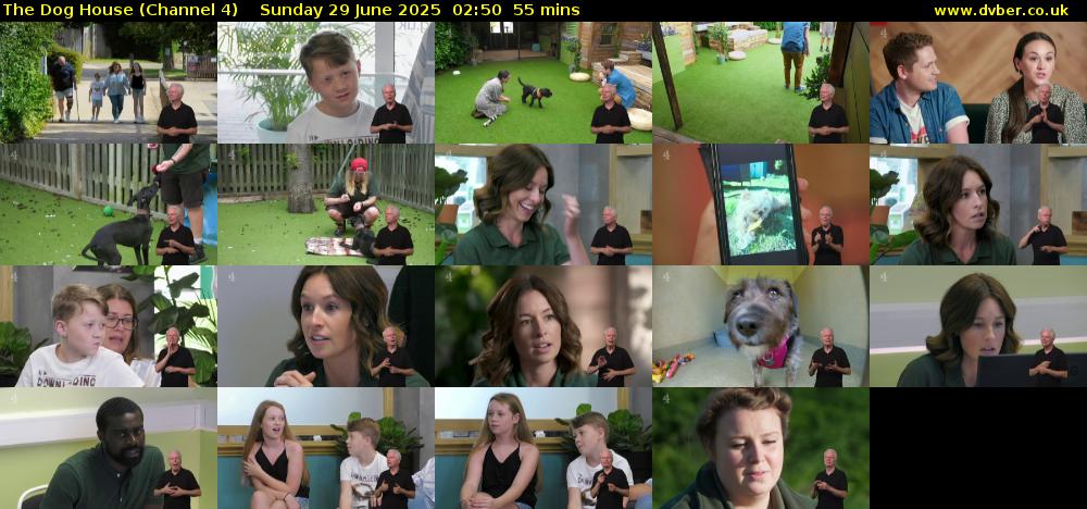 The Dog House (Channel 4) Sunday 29 June 2025 02:50 - 03:45