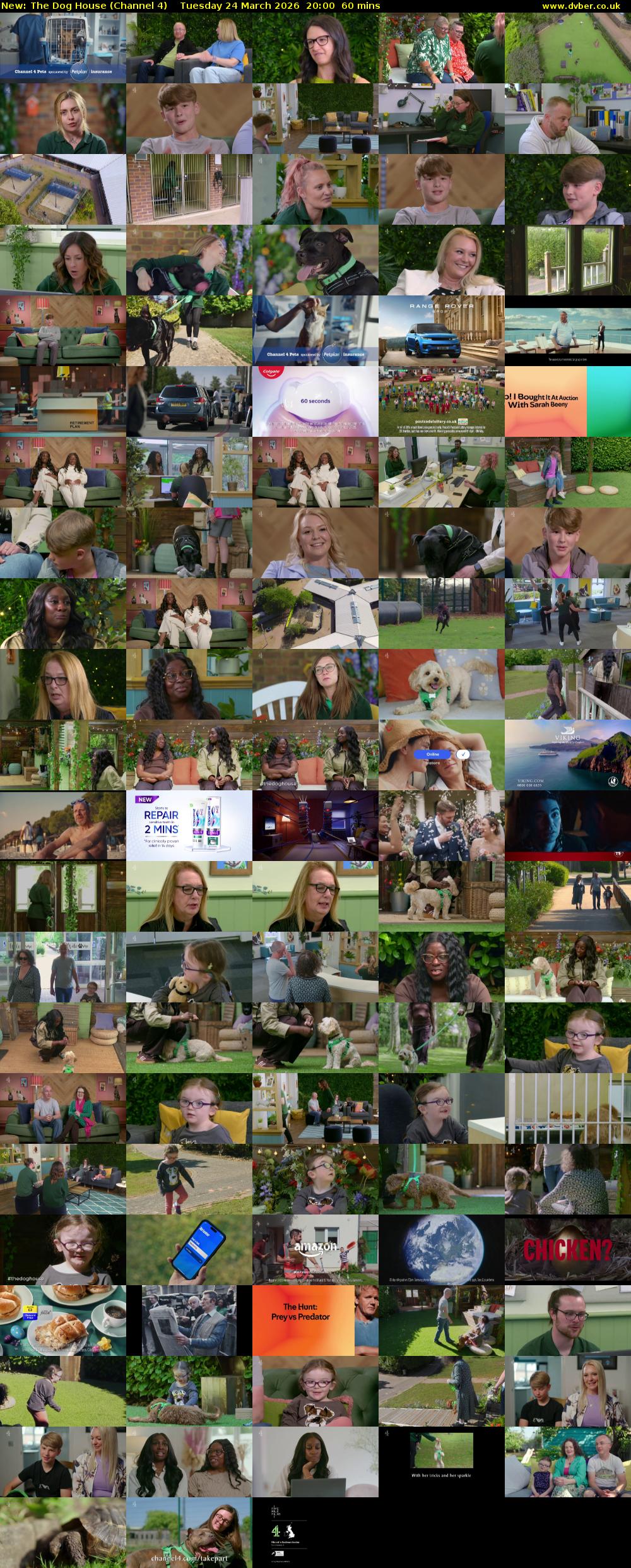 The Dog House (Channel 4) Tuesday 24 March 2026 20:00 - 21:00